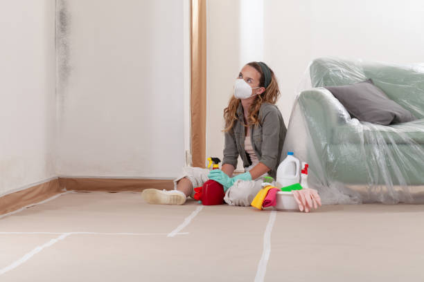 Reliable Mold Inspection contractor in Stephenson, VA by WQB Mold Removal